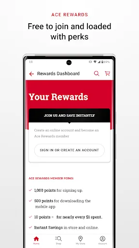 Ace Hardware screenshot