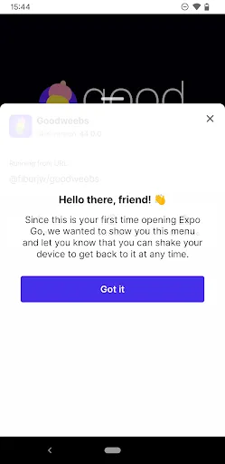 Expo Go screenshot