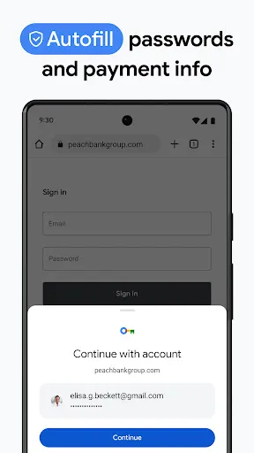 Google Chrome screenshot