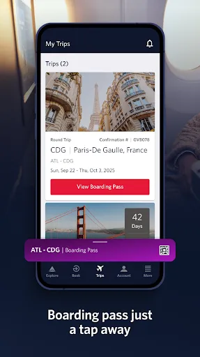 Fly Delta screenshot