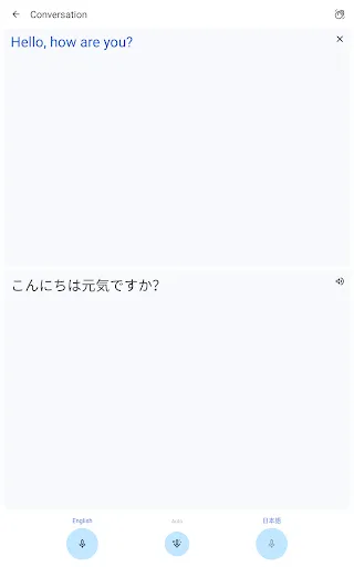 Google Translate screenshot