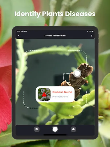PlantIn Plant Identifier, Care screenshot