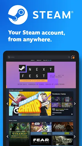 Steam screenshot