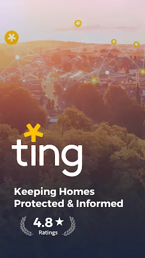 Ting screenshot