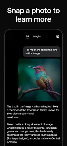 Grok - AI Chat & Video screenshot