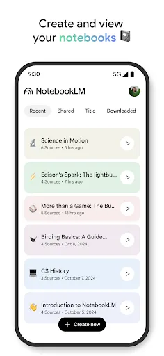 Google NotebookLM screenshot